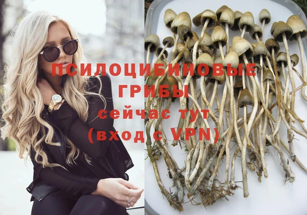 mdpv Аркадак