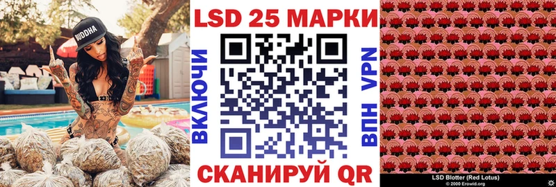 Марки NBOMe 1,5мг наркота Хилок
